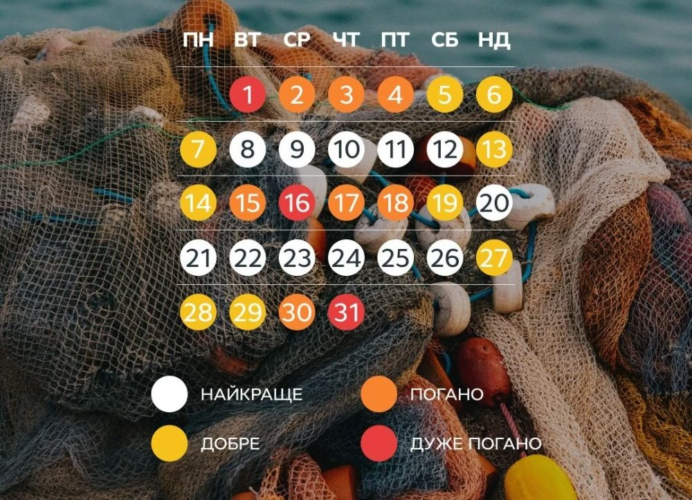 Календар рибака: як читати цикли й ловити вчасно